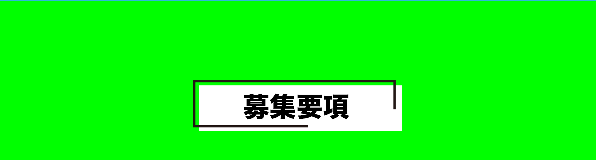 募集要項